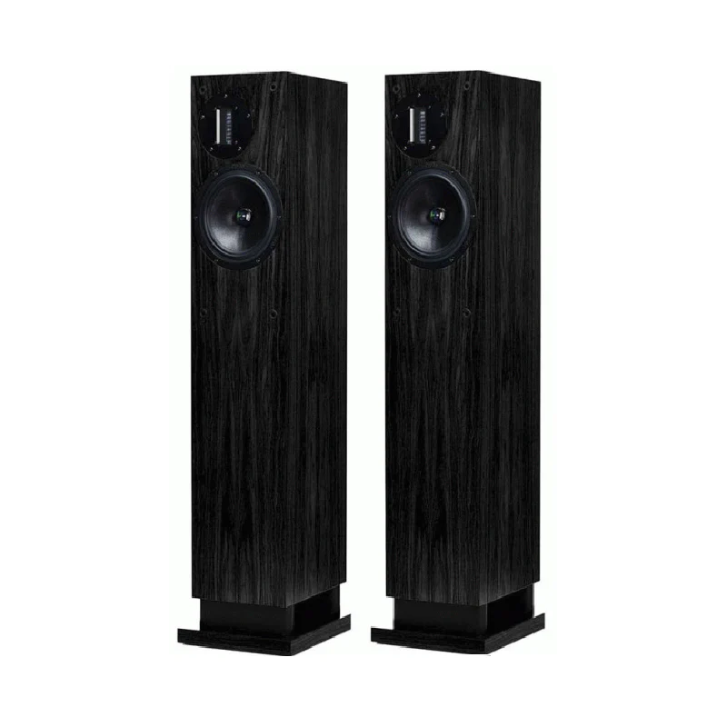 proac response d20 schwarz